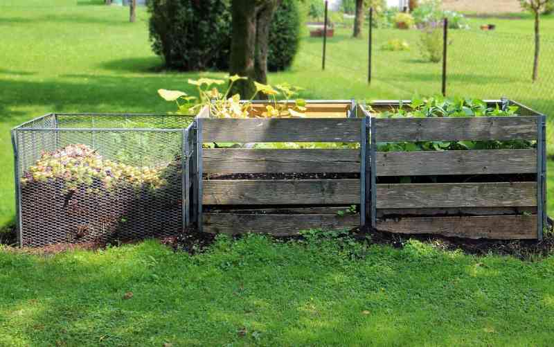 compostagem em casa para horta