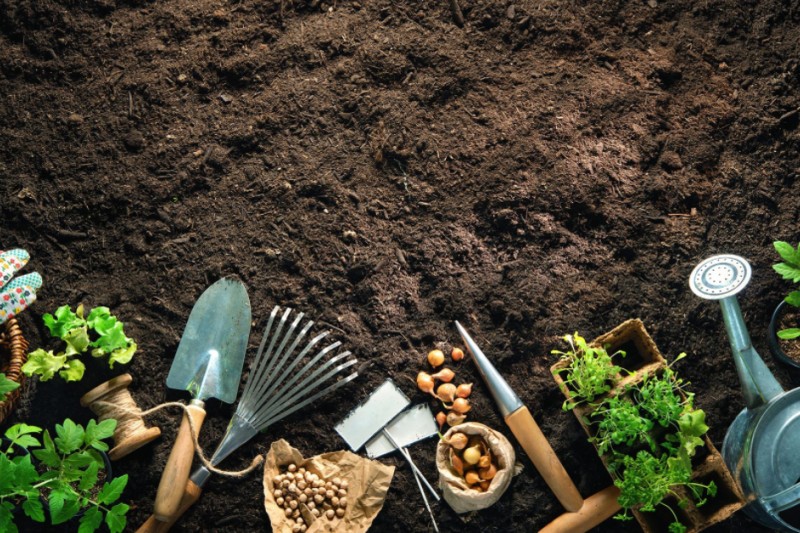 compostagem nutrindo a terra