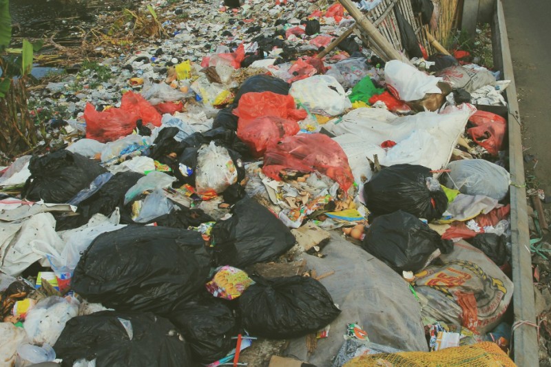 danos ao meio ambiente por não reciclar lixo
