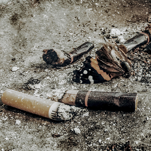 Filtro de cigarro duram mais de 5 anos