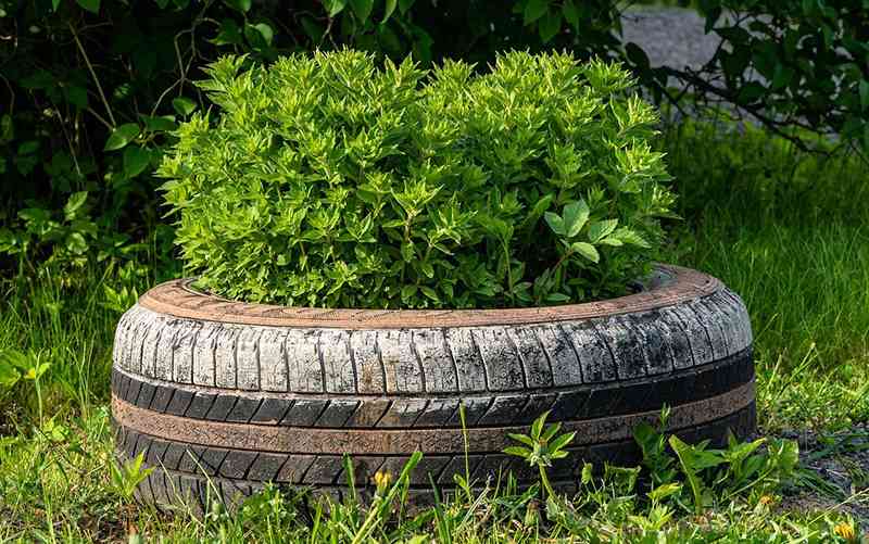 pneu reciclado usado em jardim