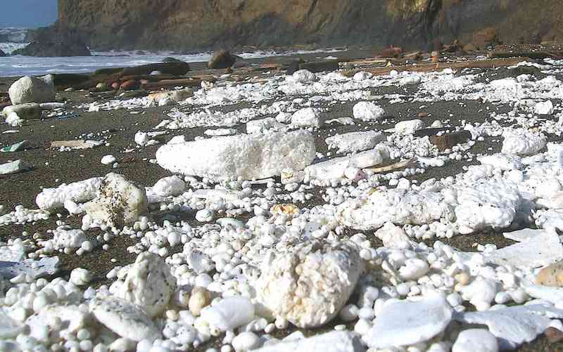 poluição por isopor nas praias