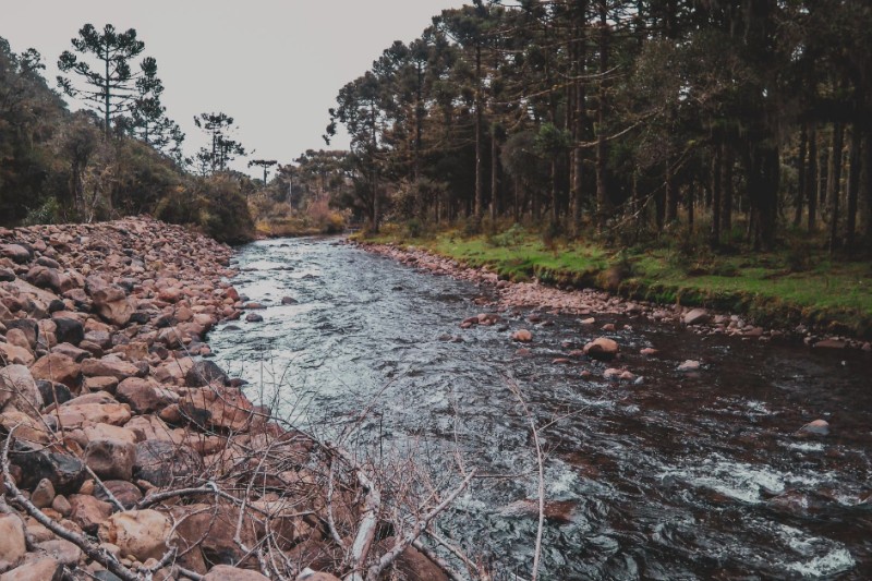 rio de agua limpa