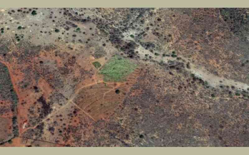 uma mancha verde no meio do deserto