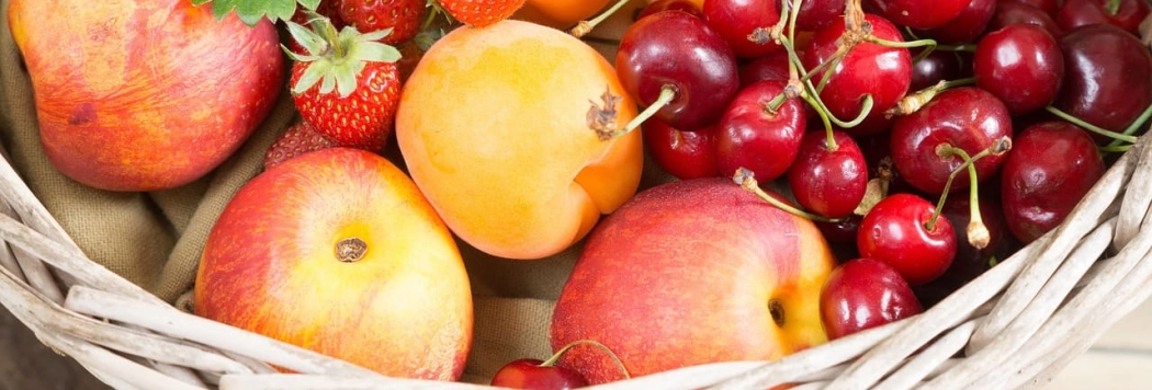 Como Reduzir o Volume de Lixo Orgânico com Boas Práticas Simples