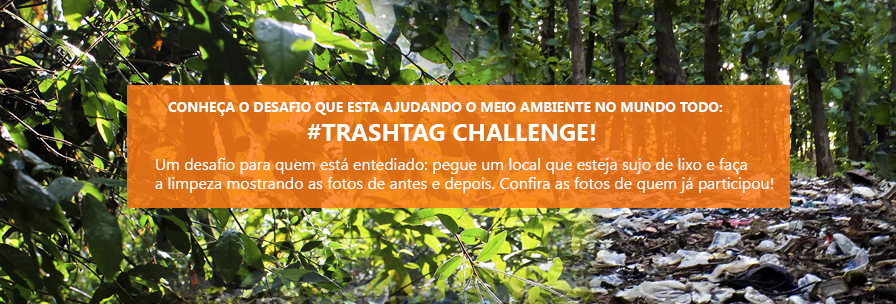 Conheça o desafio que está ajudando o meio ambiente no mundo todo: Trashtag Challenge! 