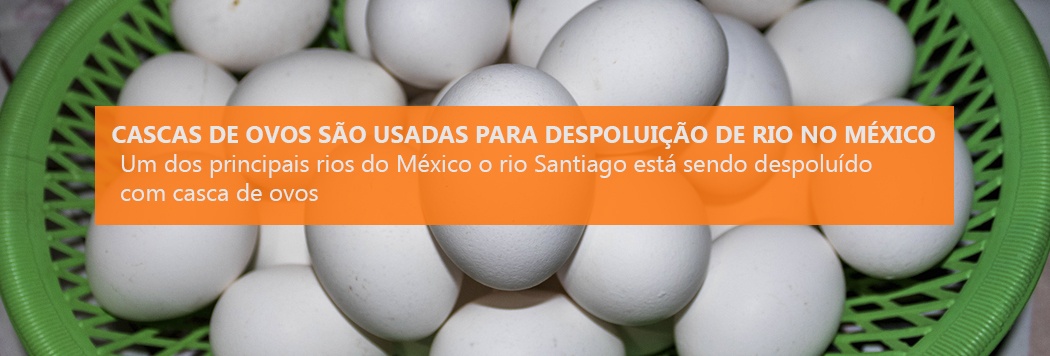 Cascas de ovos são usadas para despoluição de rio no México