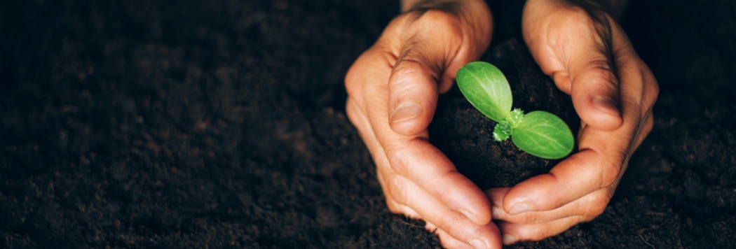 O que é pegada ecológica? Confira!