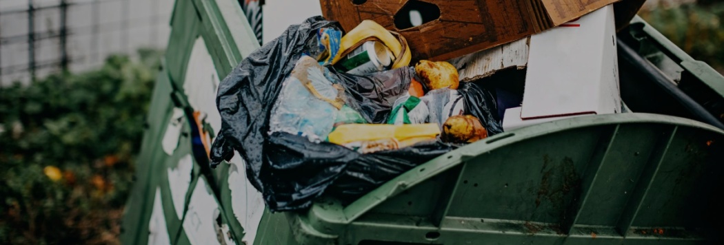Lixo Reciclável e Lixo Não Reciclável: Como suas Escolhas Impactam o Meio Ambiente
