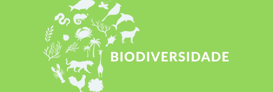 Conservação da Biodiversidade: Preservando a Riqueza da Vida na Terra