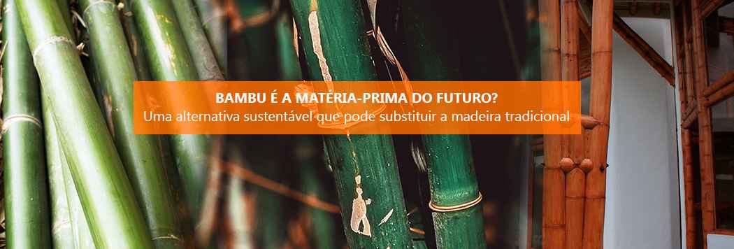Bambu é a matéria-prima do futuro?