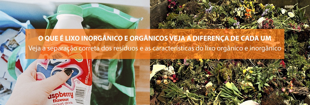O que é lixo inorgânico e orgânicos veja a diferença de cada um