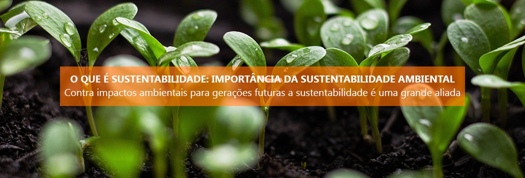 O que é sustentabilidade: importância da sustentabilidade ambiental