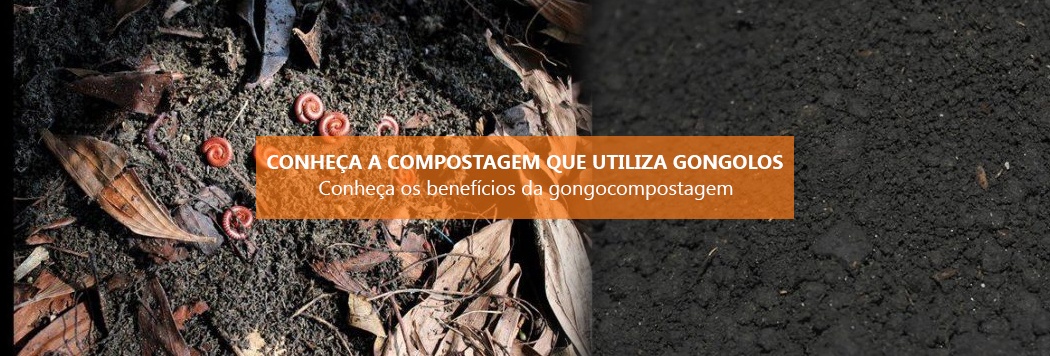 Conheça a compostagem que utiliza gongolos