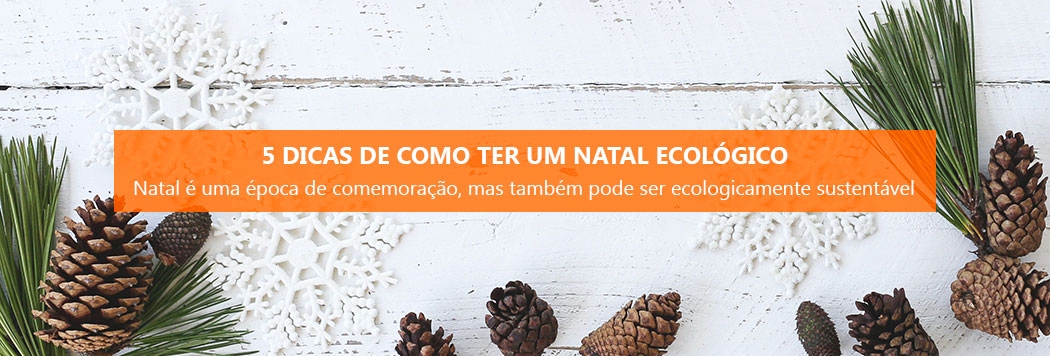 Será que o Natal pode ser mais ecológico? Veja as três dicas essenciais  para esta época